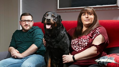 Poster della serie Gogglebox