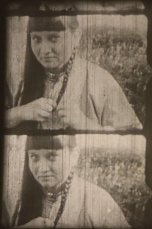 They Told Me "Apikaan" Means Braid (2012) poster
