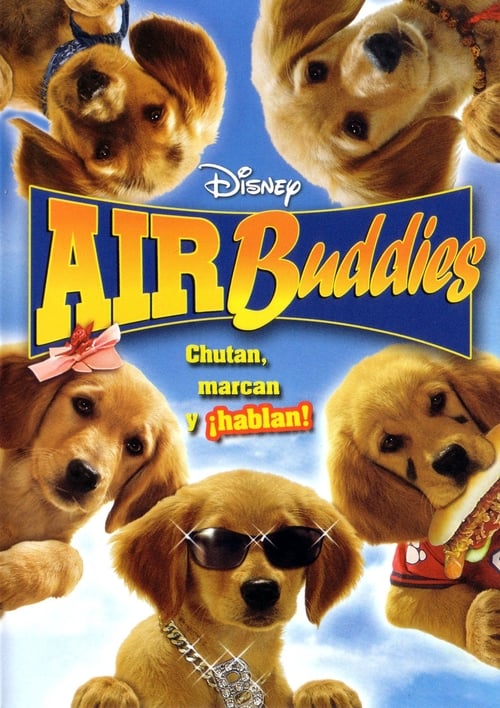 Air Buddies poster