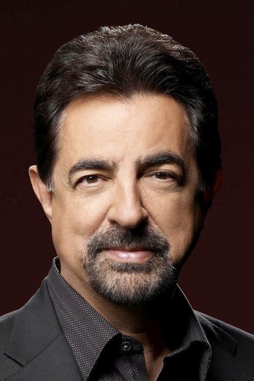 Kép: Joe Mantegna színész profilképe