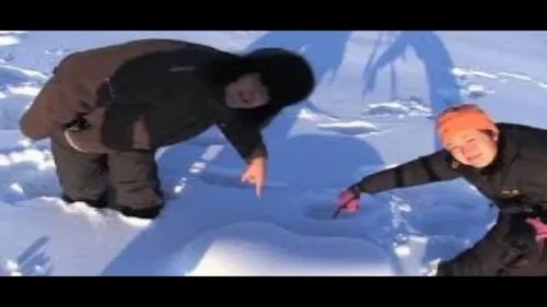 Image de l'épisode 7