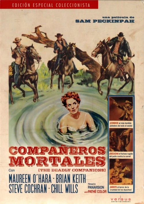 The Deadly Companions poster