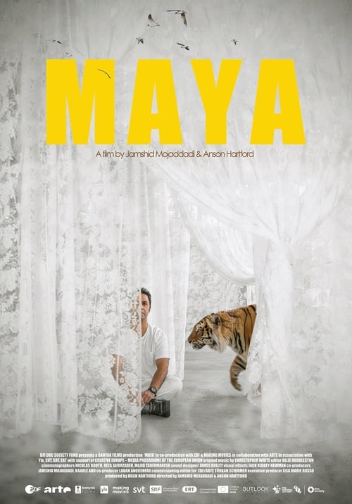 Maya 2020