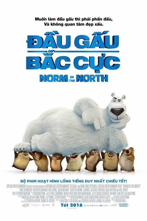 Poster Đầu Gấu Bắc Cực