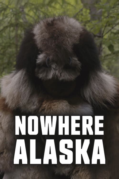 Poster do filme Nowhere Alaska