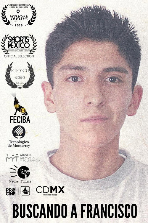 Buscando a Francisco