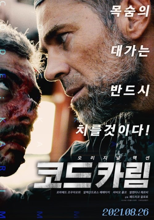 Codice Karim movie poster player
