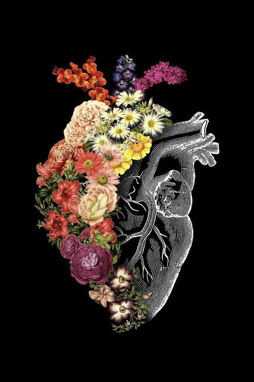 Watch The Heart Full Movie With English Subtitles