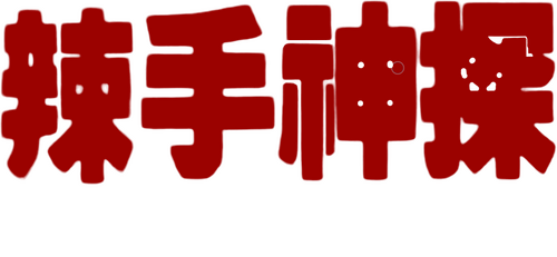 辣手神探