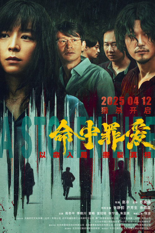 A Stolen Life poster