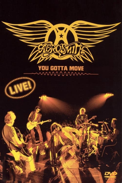 Poster do filme Aerosmith - You Gotta Move