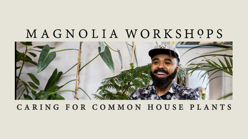 Magnolia Workshops: Caring for Common Houseplants
