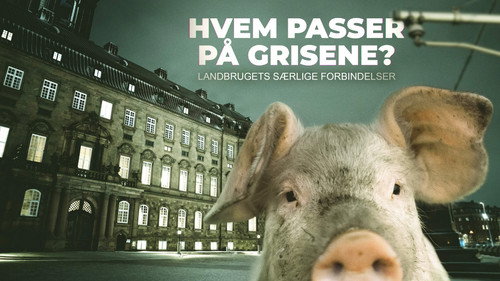 Hvem passer på grisene? - Season 1 Backdrop Blur