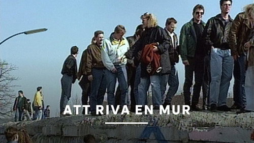 Att riva en mur Backdrop Blur