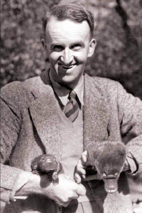 David Fleay profile