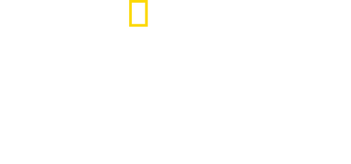 Welcome to Earth