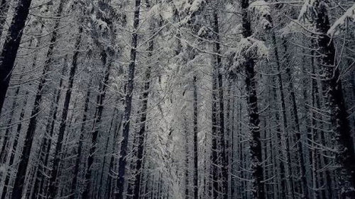 Ethan's Still Image Film