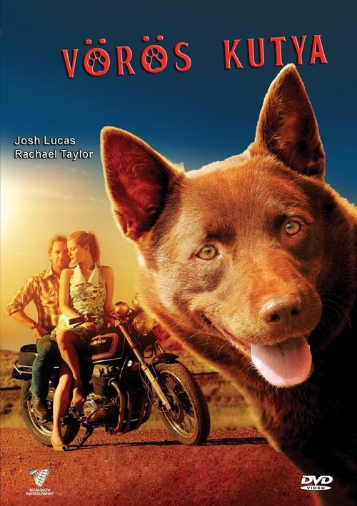 Vörös kutya movie poster player
