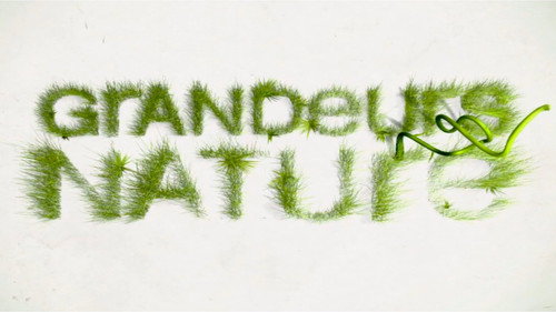 Grandeurs Nature - Season 1 Backdrop Blur