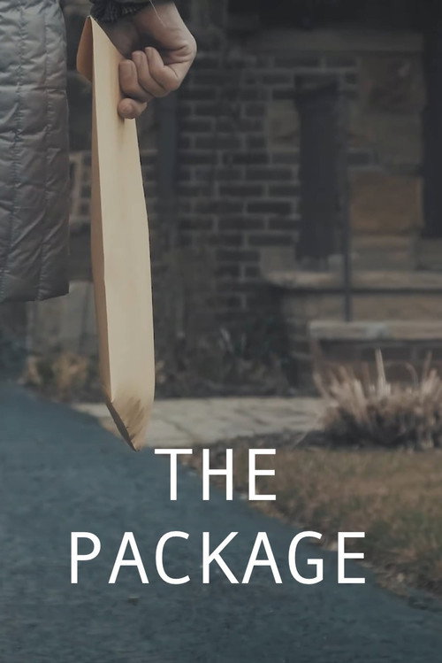Poster for The Package