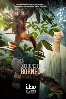 Escena 3 de Judi Dench's Wild Borneo Adventure
