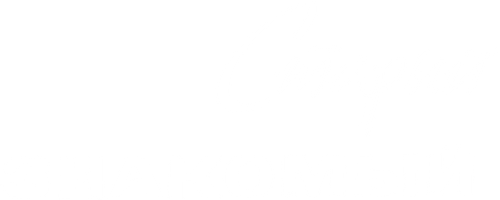 Старый знакомый