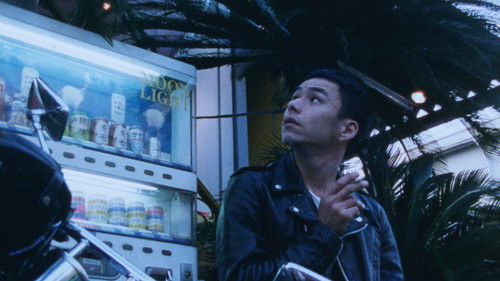 Looking for an Angel cover