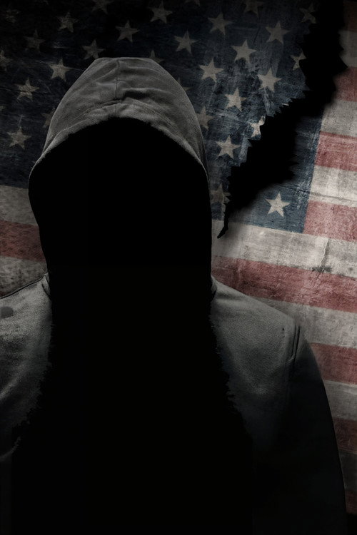 Affiche de The Trayvon Hoax: Unmasking the Witness Fraud that Divided America