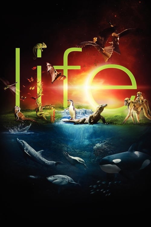 Grootschalige poster van Life