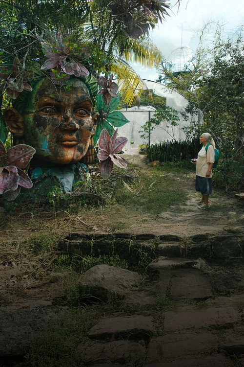 The Blue Trail poster