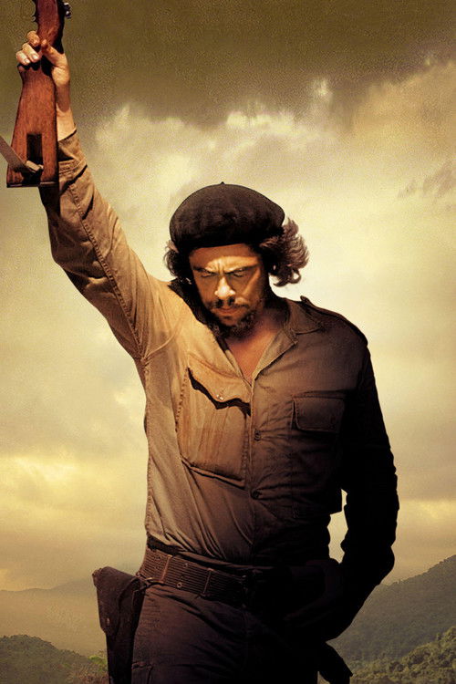 Pòster de Che Collection