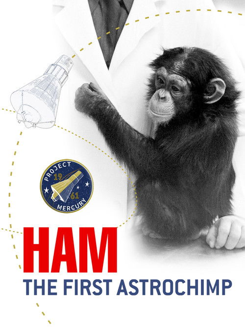 Ham, un chimpanzé dans l'espace
