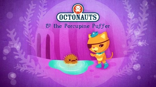 Octonauts, S02E08 - (2012)