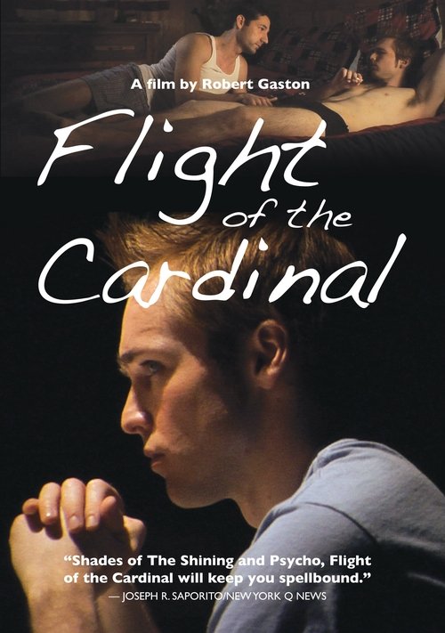 Watch Stream Flight of the Cardinal (2010) Movies Solarmovie HD Without Downloading Stream Online