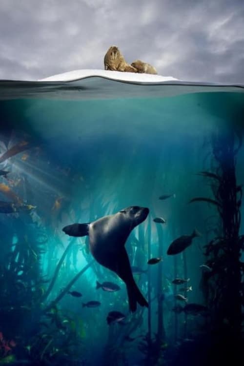 Blue Planet (2018) poster