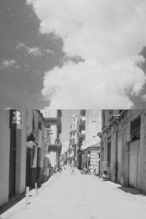 Ultimo día en la Habana