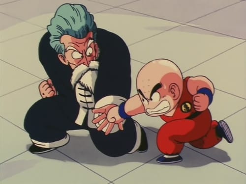 Dragon Ball: 1×24