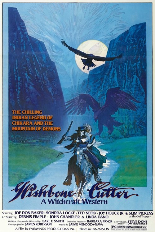 The Shadow of Chikara poster