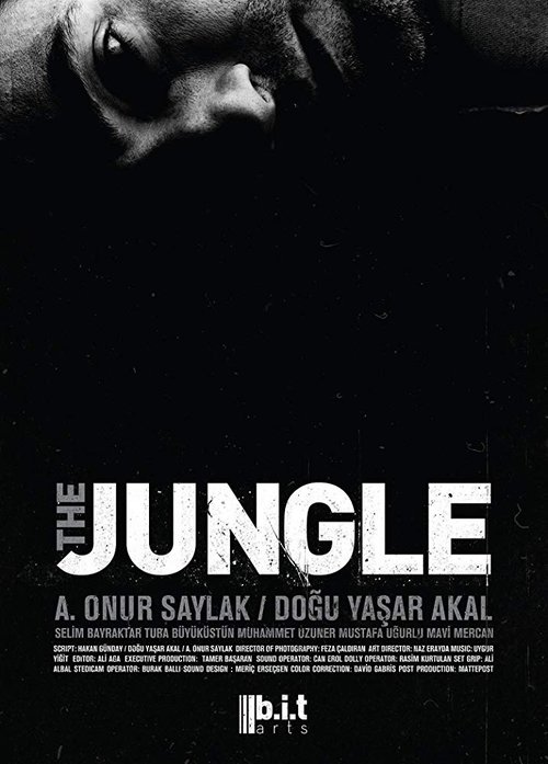 Orman movie poster player