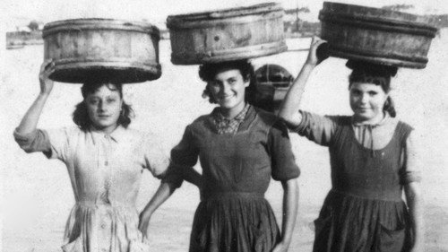 Testemuñas dunha illa