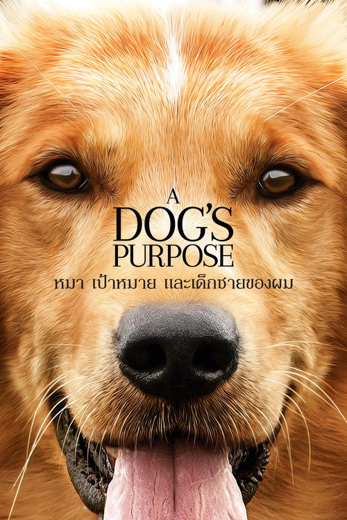 ดูหนัง A Dog’s Purpose (2017) หมา เป้าหมาย และเด็กชายของผม