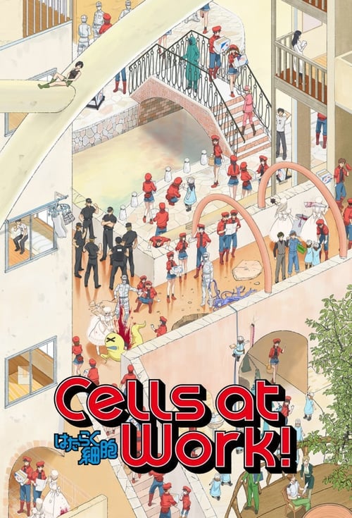 Where to stream Cells at Work! Specials