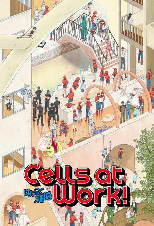 Where to stream Cells at Work!