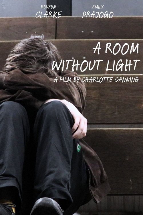 A Room Without Light