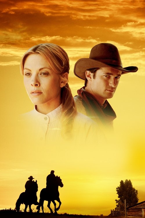 Love Begins poster
