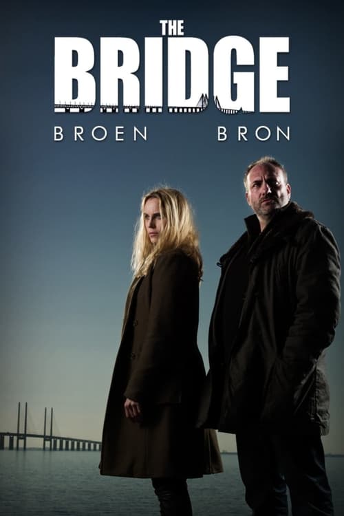 The Bridge (2011)