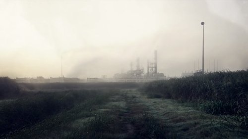 Image 15