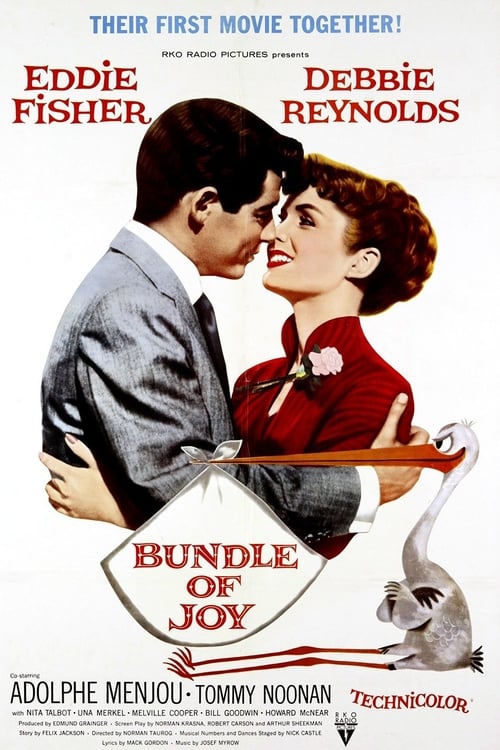 Bundle of Joy Movie Poster Image