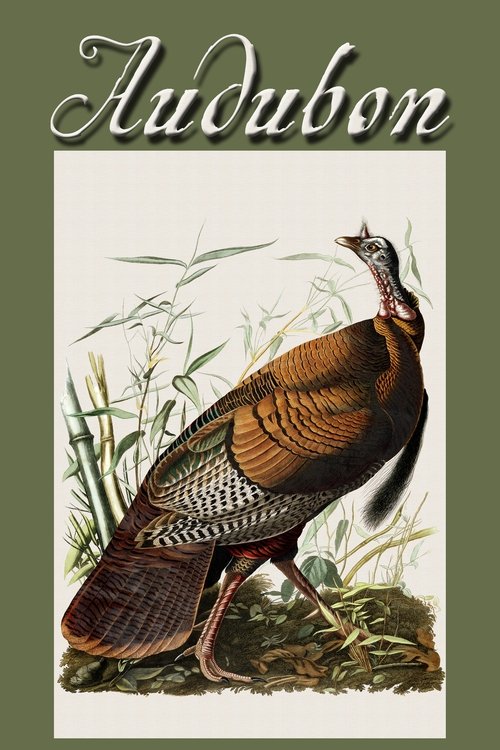 Audubon: Naturalist and 19th century painter, John James Audubon was one of the most remarkable men of early America. A contemporary of Lewis & Clark and Davey Crockett, he explored the American frontier in search of 