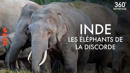 Image de l'épisode 10